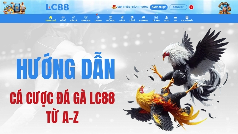 Đá Gà LC88 – Hướng Dẫn Cá Cược Đá Gà LC88 Từ A–Z